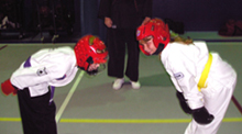 Red Tiger Karate Juniors Bowing